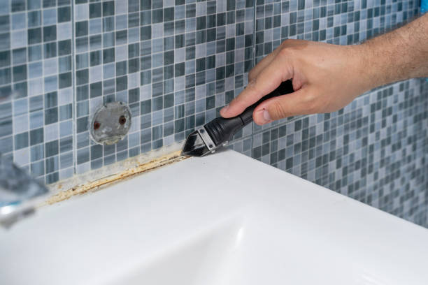 Best Office Mold Removal Services  in Franklin, VA